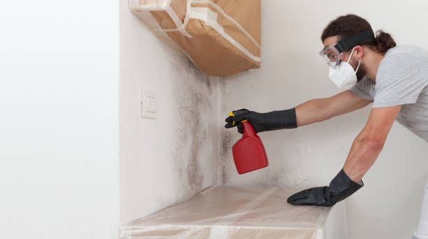Professional Mold Inspection And Testing technician working in Greenlawn, NY